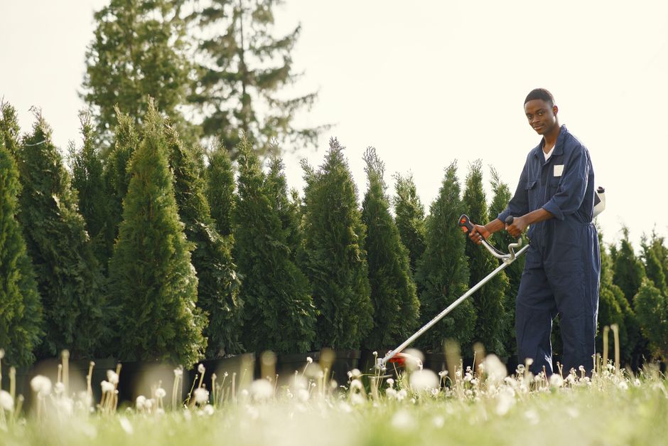 Friendly lawn care worker