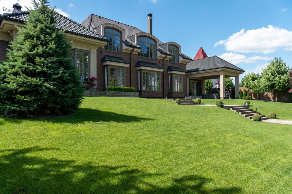 Manicured suburban green lawn